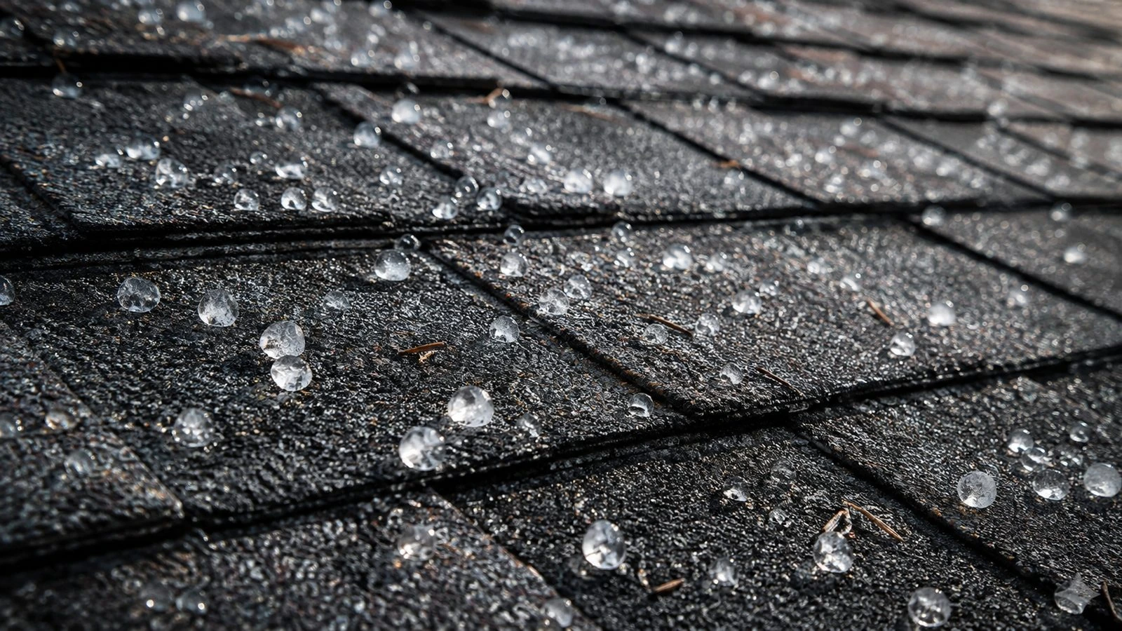 What to do after hail damage in Minnesota