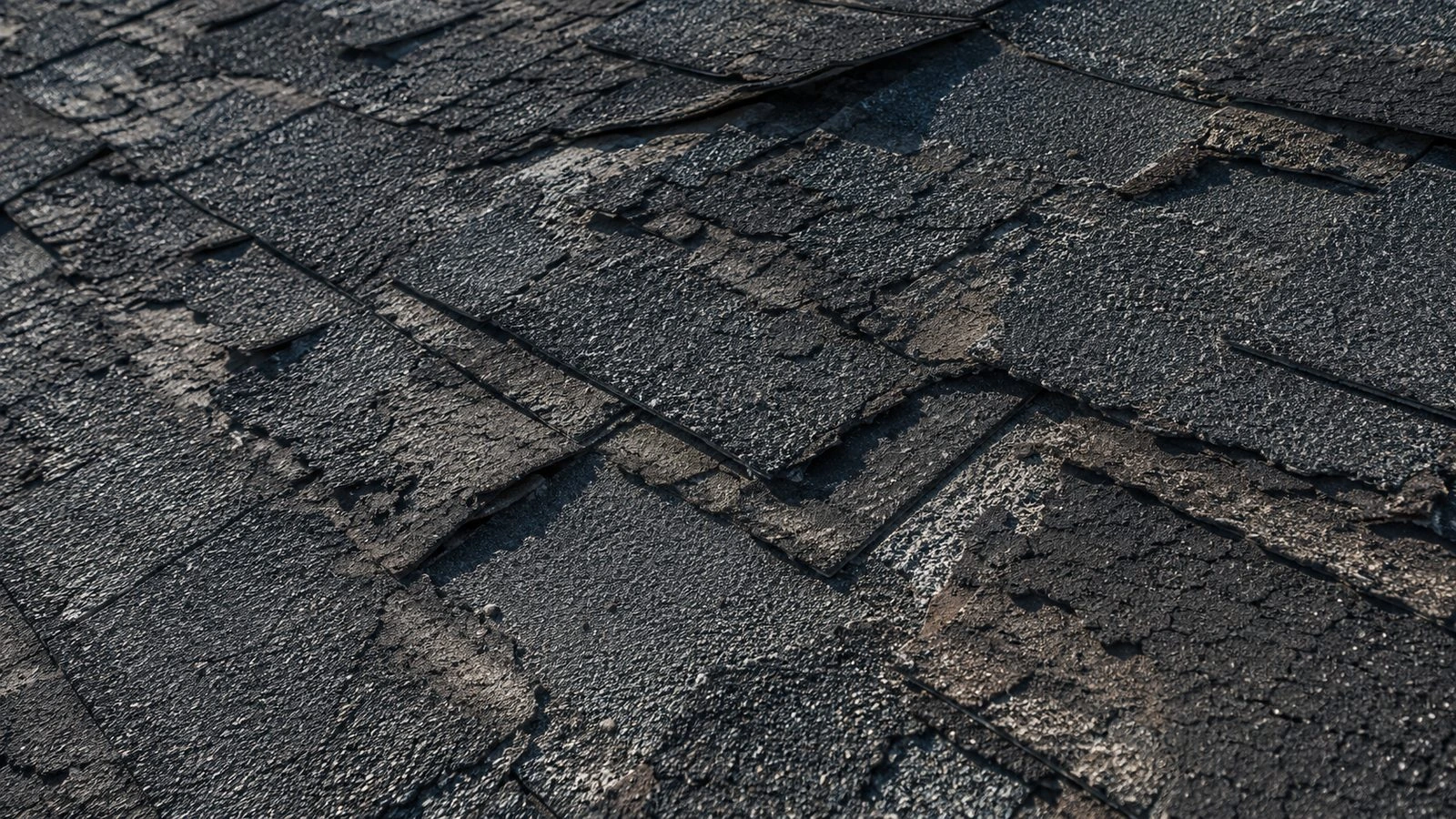 Seven signs your roof needs an assessment